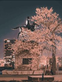 �u���O�摜