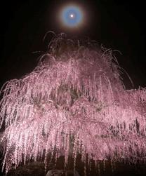 �u���O�摜