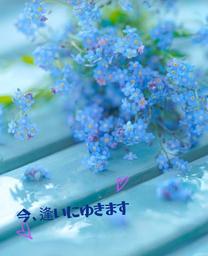 �u���O�摜