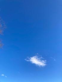 ���ε����β���