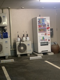 ���̖ڂ͏��蕨��( �L�t�Mll)