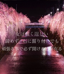 �u���O�摜