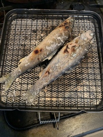 �u���O�摜
