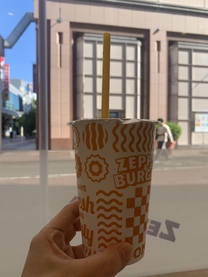 �u���O�摜