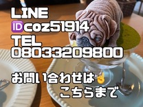 �u���O�摜