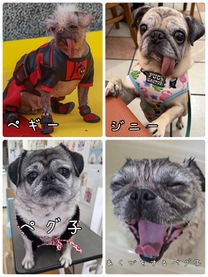 �X���Ƃ́A�܂������v��Ȃ��͎̂������H�H