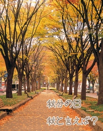 �u���O�摜