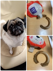 �u���O�摜