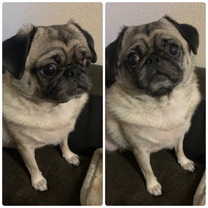 �u���O�摜