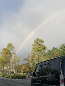 �u���O�摜