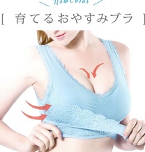 �u���O�摜