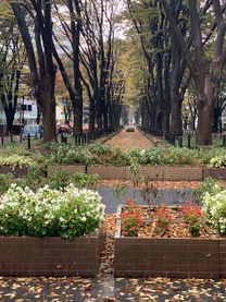 �u���O�摜