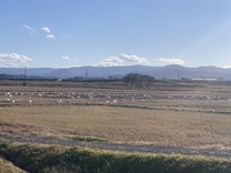 �u���O�摜