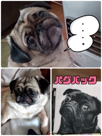 �u���O�摜