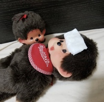 �u���O�摜