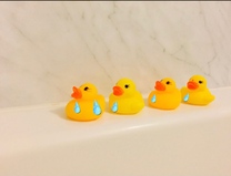 �u���O�摜