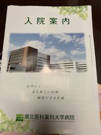 �u���O�摜