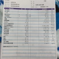 �u���O�摜