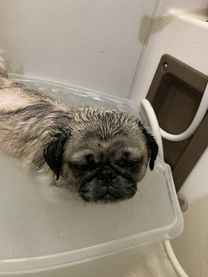 �u���O�摜