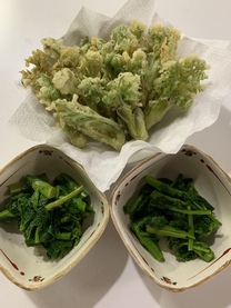 �u���O�摜