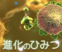 �u���O�摜