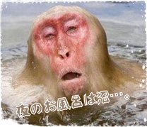 �u���O�摜