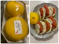 �u���O�摜