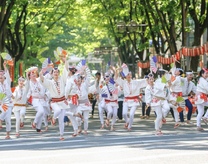 �u���O�摜