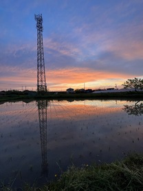 �u���O�摜