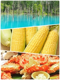 �u���O�摜