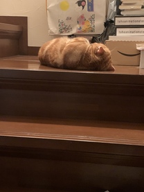 �u���O�摜