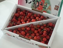 �u���O�摜