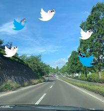 �u���O�摜