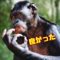 �u���O�摜