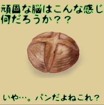 �u���O�摜