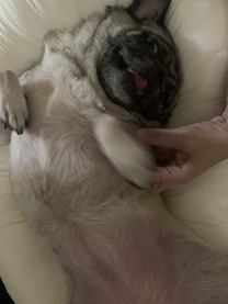 �u���O�摜