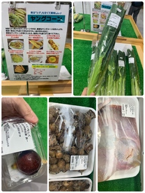 �u���O�摜