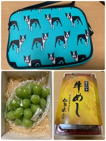 �u���O�摜