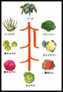 �u���O�摜