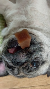 �u���O�摜