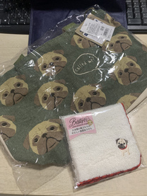 �u���O�摜