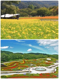 �u���O�摜