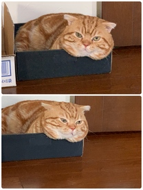 �u���O�摜