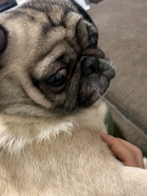 �u���O�摜