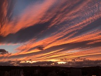 �u���O�摜