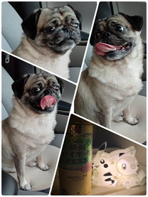 �u���O�摜