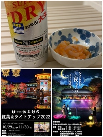 �u���O�摜