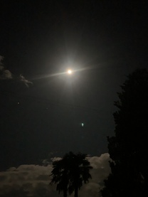 �u���O�摜