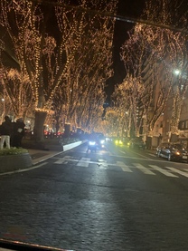 �u���O�摜