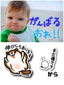 �u���O�摜